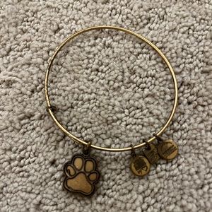 Alex and ani bracelet